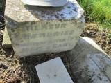 image of grave number 380219